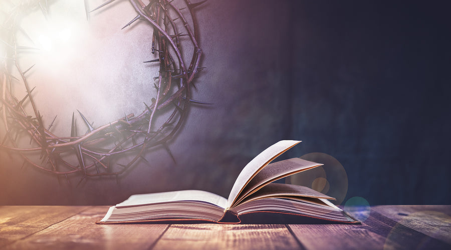Some Thoughts on Biblestudy