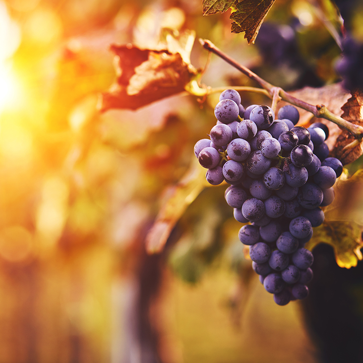 Abundant Living Part I