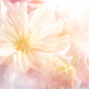Feminine Grace