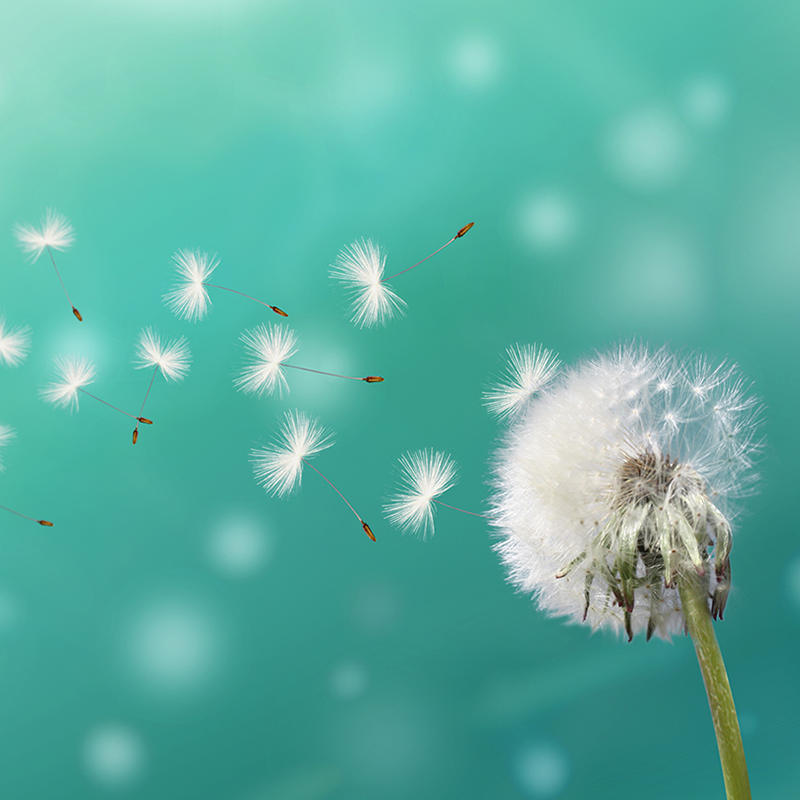 Resurrecting Your Dreams